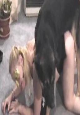 Zoo sex with a dog