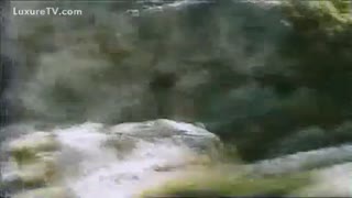 Давалка  снял свой секс с собакой на улице